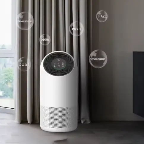 শয়নকক্ষ গৃহস্থ বায়ু পরিশোধক